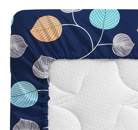 VAS COLLECTIONS Premium Cotton Elastic Fitted Double Bedsheet Set – 160-210 TC, 72 x 68 + 6 Inches | Wrinkle-Free, Breathable, with 2 Pillow Covers | Corner Fitted Sheet (Off White & Blue)