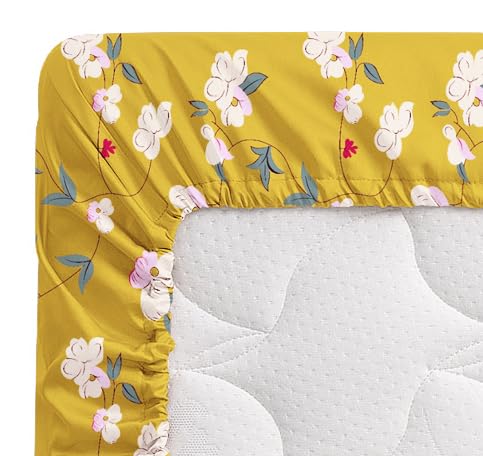 VAS COLLECTIONS Premium Cotton Elastic Fitted Double Bedsheet Set – 160-210 TC, 72 x 68 + 6 Inches | Wrinkle-Free, Breathable, with 2 Pillow Covers | Corner Fitted Sheet (Off White & Blue)