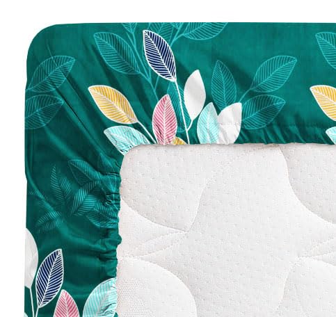 VAS COLLECTIONS Premium Cotton Elastic Fitted Double Bedsheet Set – 160-210 TC, 72 x 68 + 6 Inches | Wrinkle-Free, Breathable, with 2 Pillow Covers | Corner Fitted Sheet (Off White & Blue)