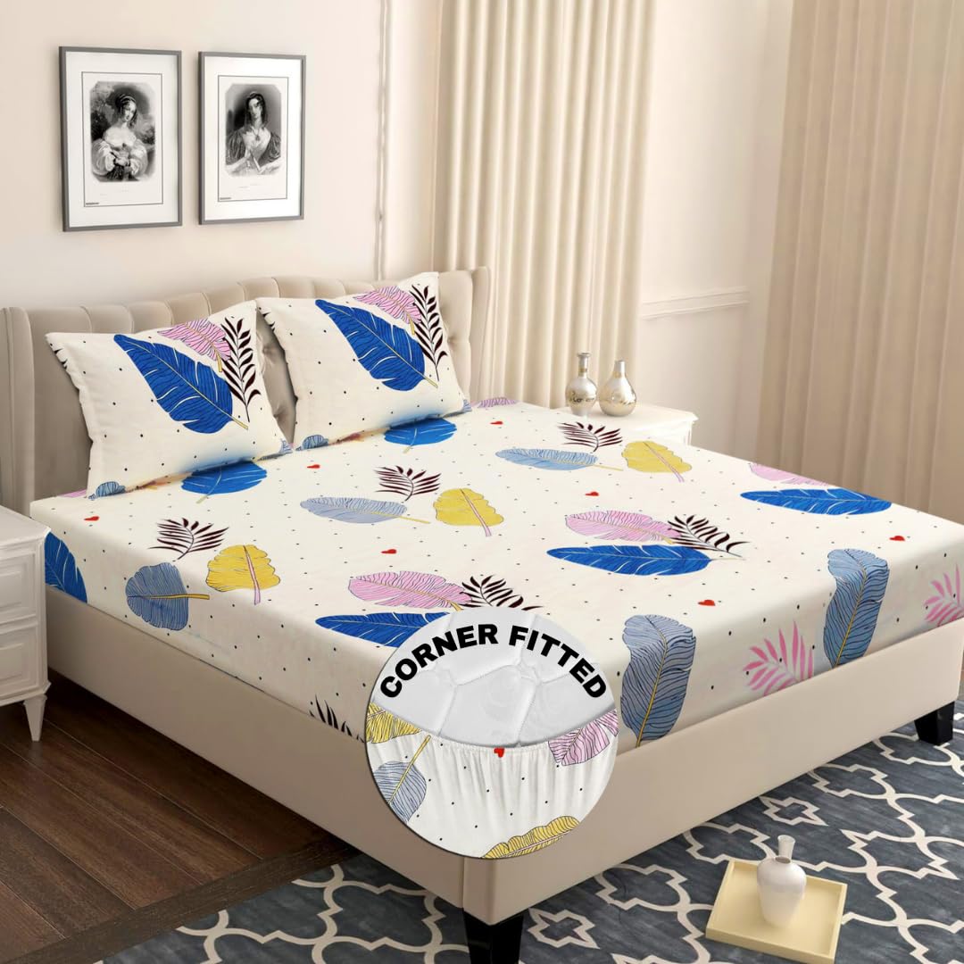 VAS COLLECTIONS Premium Cotton Elastic Fitted Double Bedsheet Set – 160-210 TC, 72 x 68 + 6 Inches | Wrinkle-Free, Breathable, with 2 Pillow Covers | Corner Fitted Sheet (Off White & Blue)